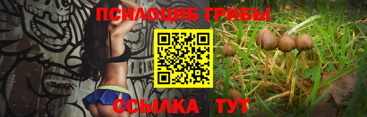 Калуга  Псилоцибиновые грибы GOLDEN TEACHER  Вход с VPN 